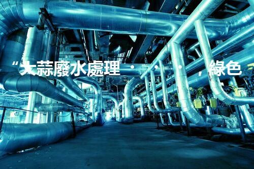 “大蒜廢水處理，綠色環(huán)保新篇章”
